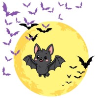 All About Bats
