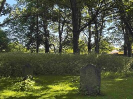 Bully's Acre Cemetery Tours