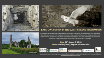 Barn Owl Survey in Sligo, Leitrim and Roscommon