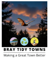 Bat Walk in Bray