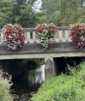 Ballyboughal River Biodiversity Walk