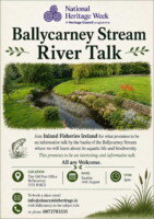 Ballycarney Stream River Talk