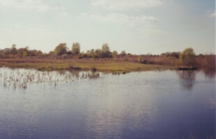 Ballynafagh Lake, A Hidden Gem in the Heart of Kildare