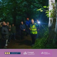 Guided Bat walk in Dalgan Park