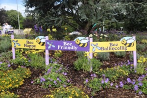 Learn About Biodiversity, Sustainability and How We Can All Help