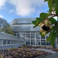 The Glass Ark: Saving Endangered Plants