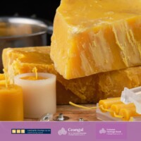 Bee-autiful Science : Beeswax Candle Workshop in Athboy Library
