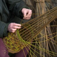 Childrens Introduction to Willow Weaving