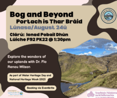 Bog and Beyond