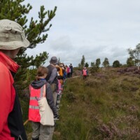 Bog in a Bottle with the Irish Peatland Conservation Council