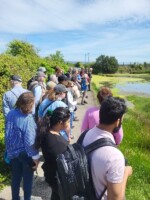 Booterstown Marsh Nature Reserve finding Invasives
