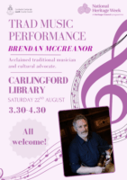 Brendan McCreanor Trad Music Performance Carlingford Library