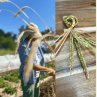 Traditional Harvest Straw Craft