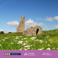 Built Heritage Information Evening Trim
