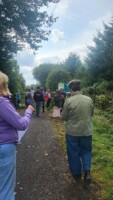 Foraging Walk