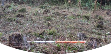 Children's Burial Grounds - How to Identify