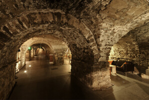 Crypt to Crypt Walking Tour  - Christ Church and St Michan's
