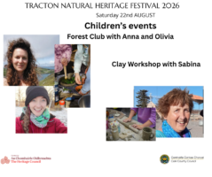 For children: Clay Workshop and Forest Club