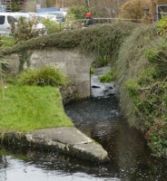 Waterways of Galway: Cultural History and Biodiversity