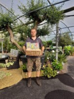 Seed Drive with Blarney Library and Clock House Nurseries Plant Emporium