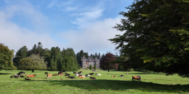 Tours of Clonalis House, Co. Roscommon in association with HIstoric Houses of Ireland