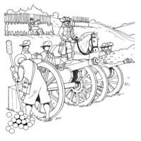Meath Heritage Children's Colouring Competition