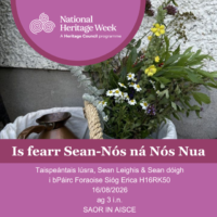 Is Fearr Sean-Nós ná Nós Nua