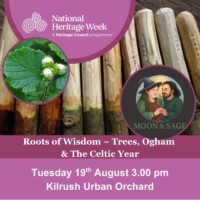 Roots of Wisdom - Trees, Ogham and the Celtic Year