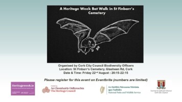 A Heritage Week Bat Walk in St Finbarr's Cemetery