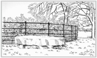 The Cromlech of the Phoenix Park : Ancient Stones Unearthed