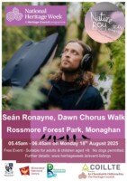Seán Ronayne, Dawn Chorus Walk