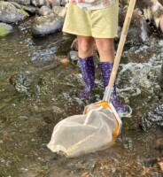How Clean Is Our Stream? A water survey by Murroe Boher Cub Scouts