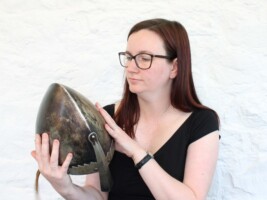 Documenting Athlone Castle's Collection- Free Workshop for Adults
