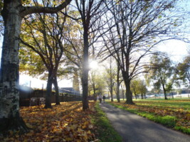 Tour of Douglas Village