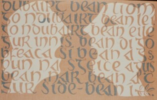 Language at Risk:  An Ghaeilge’s status as an Official EU Language, and its impact on the Teanga Bheo