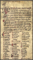 Tribes of Uí Maine and Ballygar TY Project