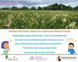 Wetland Wonders: Meet Our Feathered Wader Friends