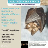 Bat Walk with Vincent Wildlife Trust