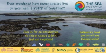 Explore Your Shore! at Ballyhoorisky, Fanad