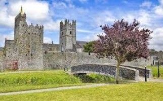 Guided Tour of Fethard Medieval Walled Town