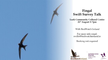 Fingal Swift Survey Talk - Lusk
