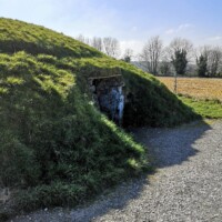 Irish Plant Mythology & Folklore | Fourknocks Megalithic Tomb Foraging Walk
