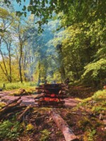 Food, Fire & Folklore