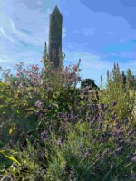 Monastic Garden Tours with Clann Chrónáin Tour Guides