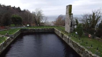 Wildlife Walk in Garrykennedy Woods