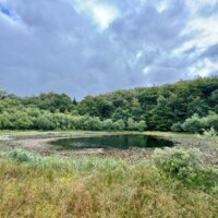Nature and Water above Gartan