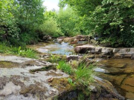 The Living Waters of the Gorragh: A Heritage Walk