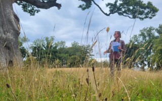 Plants, Climate and the Global Carbon Cycle