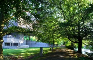 Creative Wanderings: Biodiversity & Art at UCC