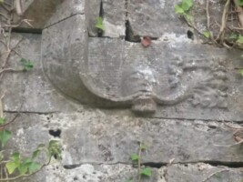Ballinakill Abbey Tour